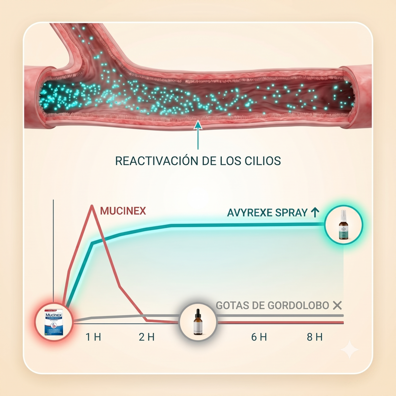5. Favorece la limpieza pulmonar durante más tiempo que Mucinex, las gotas de gordolobo o la inhalación de vapor